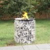 Gabion Fire Pit Ø 19.7" Galvanized Iron